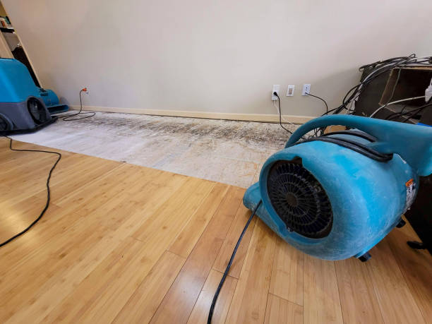 Professional Water Extraction technician working in Lamont, MI